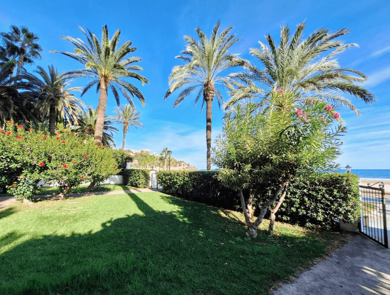 APARTAMENTO PRIMERA LINEA DE PLAYA EN VORAMAR